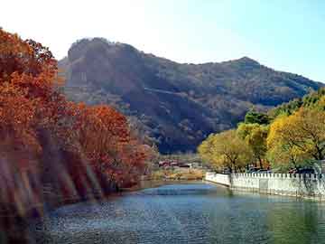 新澳门二四六天天彩，山东硅藻土